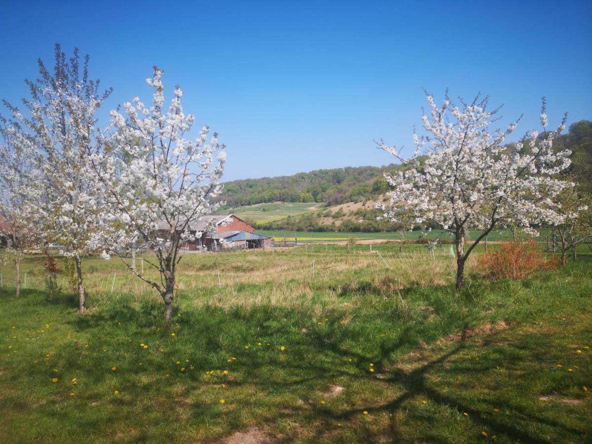 Nature Monchy Campneuseville ภายนอก รูปภาพ